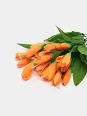 Оранжевый искусственные цветы "Крокусы", подснежники