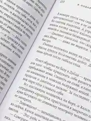 Я подарю тебе крылья, книга 2, Ана Шерри