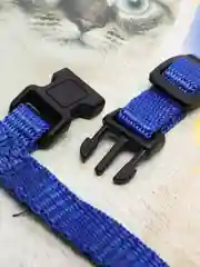 Шлейка с поводоком  для кошек