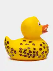 Игрушка для купания сувенир Funny ducks "Кофе уточка", 1833