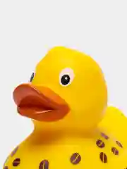 Игрушка для купания сувенир Funny ducks "Кофе уточка", 1833