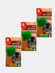 Трава для кошек