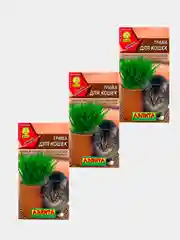 Трава для кошек