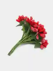 Красный тычинки с сахарными вставками. 12 штук
