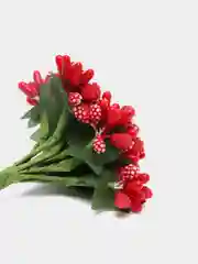 Красный тычинки с сахарными вставками. 12 штук