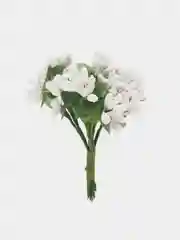 Белый тычинки с сахарными вставками. 12 штук