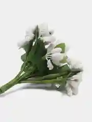 Белый тычинки с сахарными вставками. 12 штук