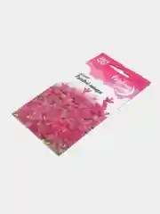 Сальвия Розовый монарх, семена, цветы