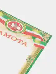 Лесной зеленый почетные грамоты с символикой Татарстана, дипломы, благодарности, А4, 20 штук