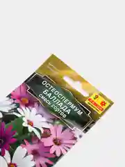 Остеоспермум Баллада (семена,цветы)