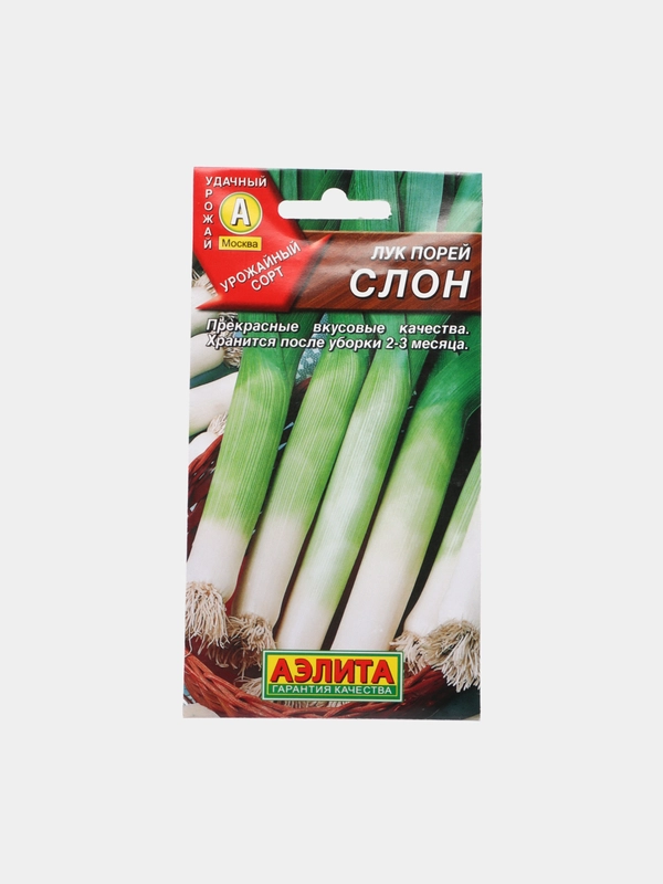Лук порей Слон (семена)