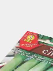 Лук порей Слон (семена)