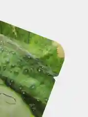 Лимонный маски тканевые