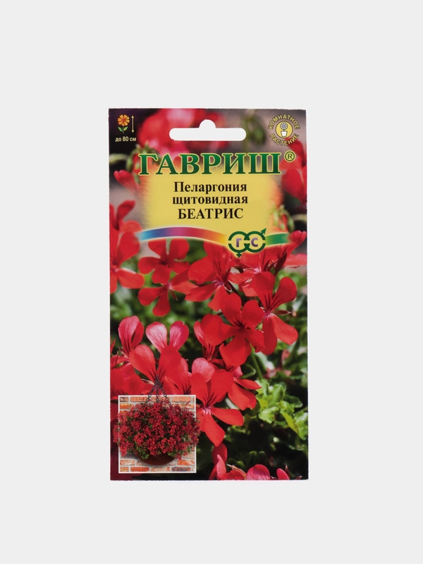 Семена цветов Пеларгония "Беатрис"