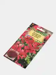 Семена цветов Пеларгония "Беатрис"