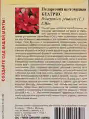 Семена цветов Пеларгония "Беатрис"