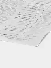 Рисунок на ткани для вышивания бисером "Св. Мч. Анфиса", размер 20*25 см