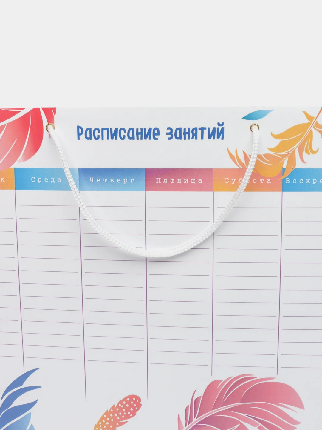 Расписание уроков "Волшебные перья", 29.7 х 42 см