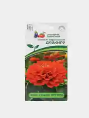 Семена цветов Цинния "Дайкири", Партнер