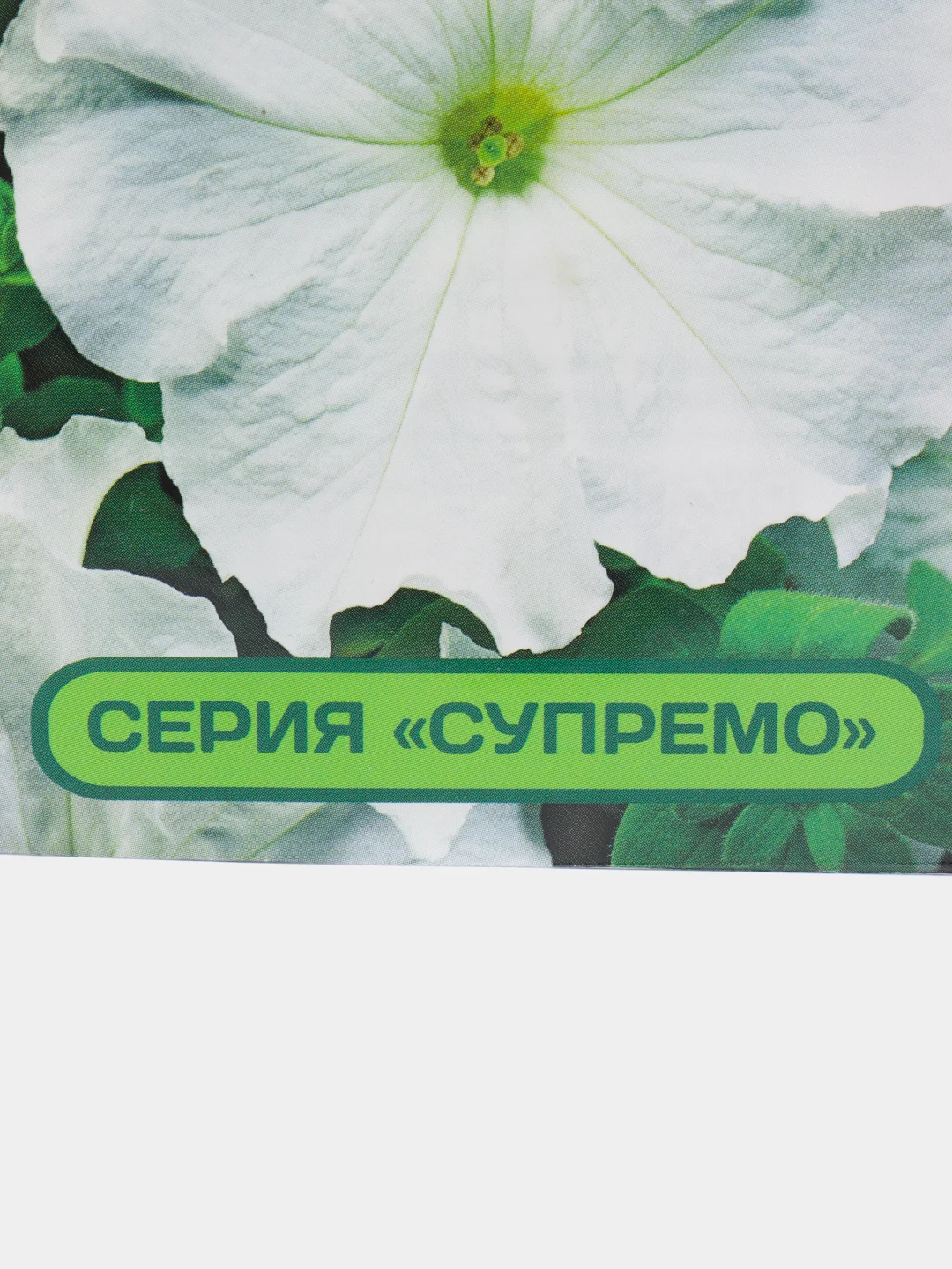 Семена Петуния "Изадора", Партнер