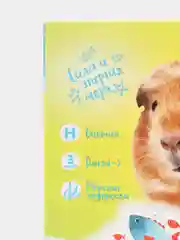 Лакомство для грызунов