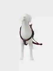 Красный шлейка с поводком для собак и кошек