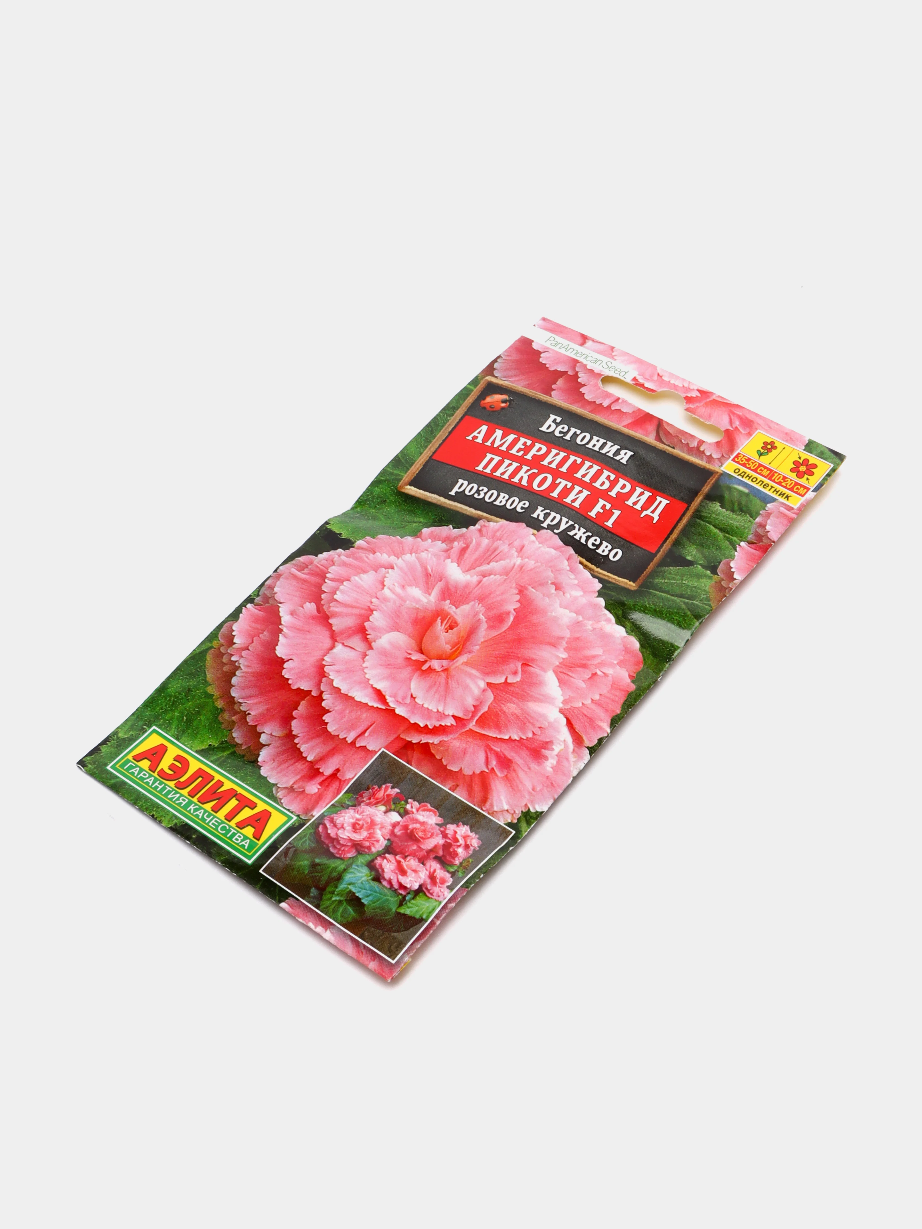 Бегония Америгибрид Пикоти розовое кружево (семена,цветы)