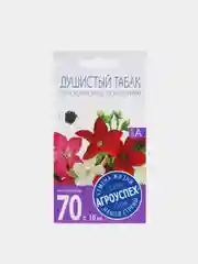 Душистый табак "Сенсация", семена, цветы