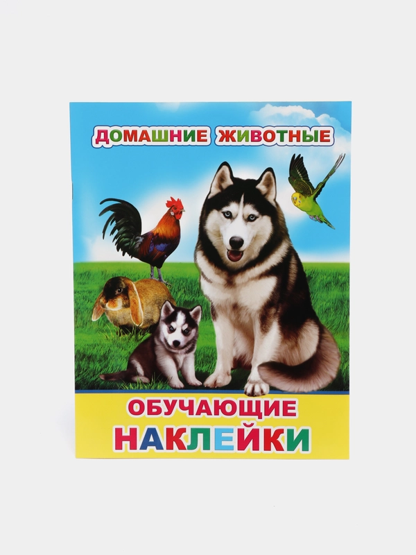 Книга для детей с наклейками, 4-7 лет, 4 страницы, 50 наклеек, 20 х 26 см