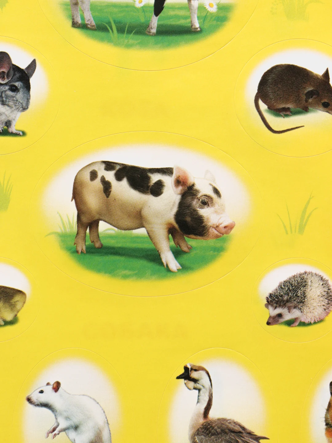 Голубой книга для детей с наклейками, 4-7 лет, 4 страницы, 50 наклеек, 20 х 26 см