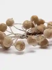 Багровый сахарные ягоды для декора и творчества