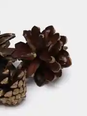 Шишки натуральные