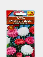 Семена Астра "Матсумото Дебют"