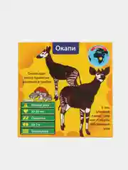 Оранжевый настольная игра "Сундучок Знаний"