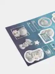 Синий чипборд для скрапбукинга, 12*20 см