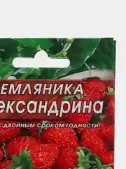 Семена Земляника ремонтантная "Александрина", 0,05 г