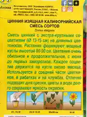 Цинния Калифорнийская (семена,цветы)