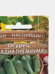 Огурец Клавдия премиум F1 (семена)