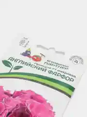 Семена Партнер "Примула Английский фарфор"