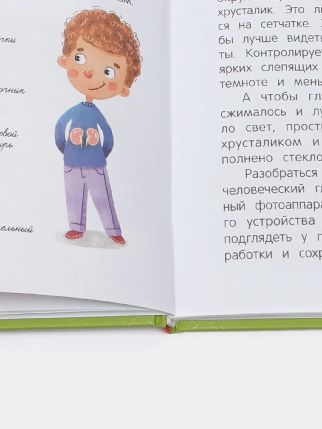 Расскажи мне! О человеке. Толмачев Александр