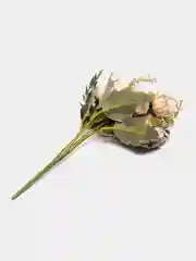 Бежевый цветы искусственные: камелии, розы и пионы