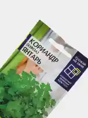 Кориандр кинза "Янтарь", урожай на окне