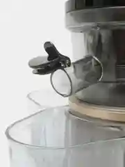 Соковыжималка электрическая Garlyn J-700 Pro