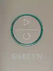 Соковыжималка электрическая Garlyn J-700 Pro