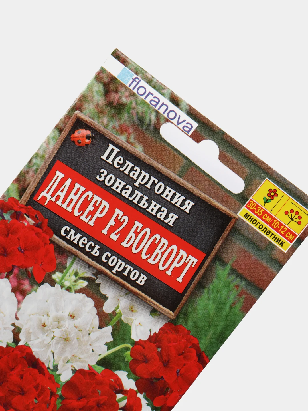 Пеларгония Дансер Босворт (семена,цветы)