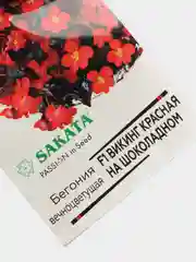 Семена, бегония "Викинг" красная на шоколадном