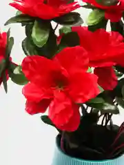 Красный искусственные цветы "Букет Азалий"