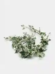 Белый искусственные растения лиана, плюща, виноградные листья, зелень, ветка, цветы, декор 180см