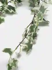 Белый искусственные растения лиана, плюща, виноградные листья, зелень, ветка, цветы, декор 180см