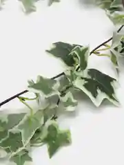 Белый искусственные растения лиана, плюща, виноградные листья, зелень, ветка, цветы, декор 180см